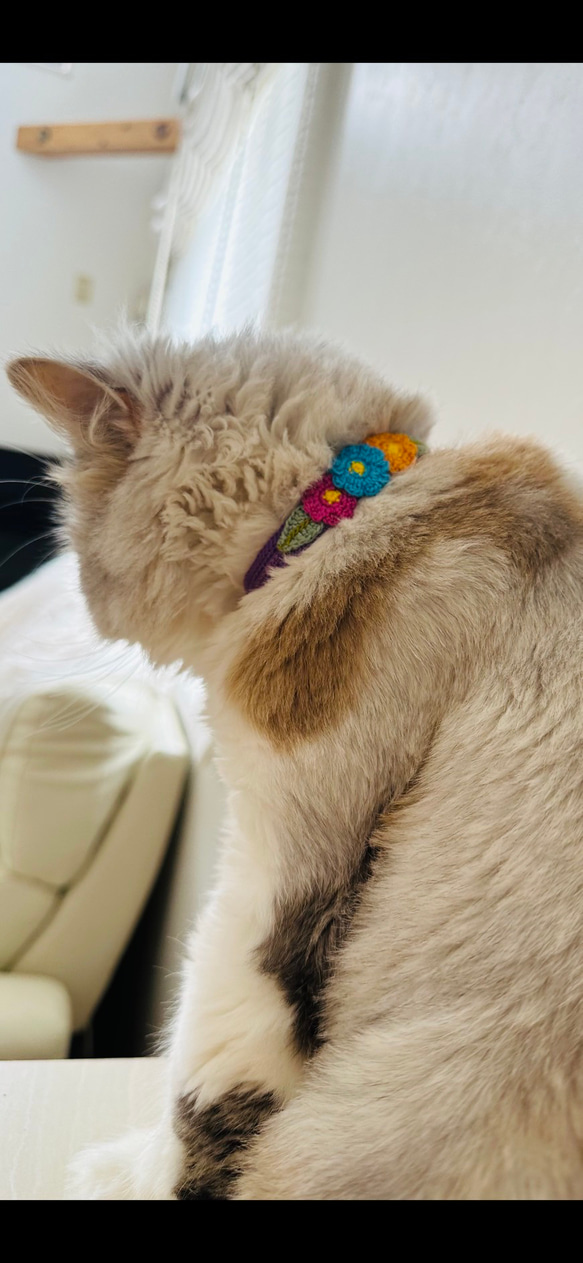 猫の首輪　ネイビー　花モチーフ　手編み　セーフティバックル 4枚目の画像