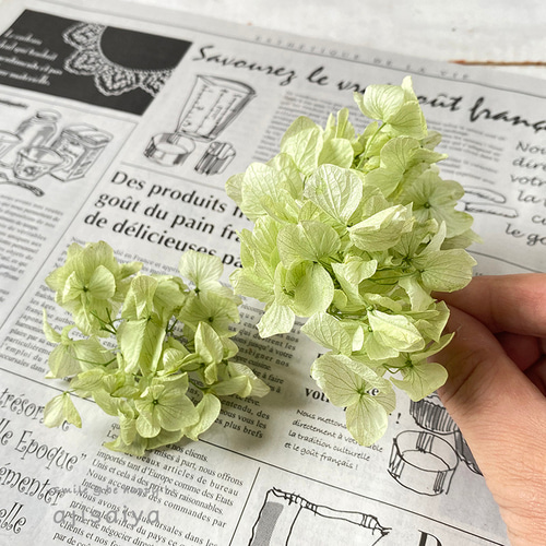 ハイドランジア様 リクエスト 2点 まとめ商品 アジサイ様 リクエスト 2