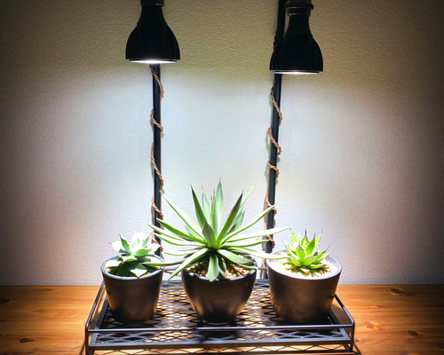 0b61227b935b2acbdcb5828cfb14d1