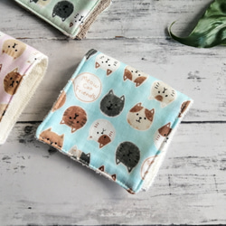 99d7de8f1250e3d08c0d1f0c5ad456