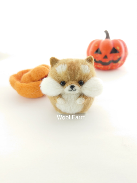 ハロウィン柴犬　～Wool Farm～　羊毛フェルト 3枚目の画像