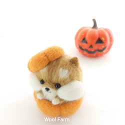 ハロウィン柴犬　～Wool Farm～　羊毛フェルト 8枚目の画像