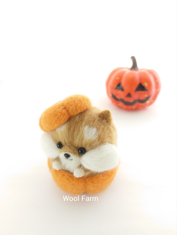 ハロウィン柴犬　～Wool Farm～　羊毛フェルト 8枚目の画像