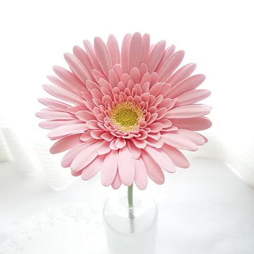 フランフラン ウォールフラワー フラワー セット ガーベラ マグノリア ピンク フランフラン ウォールフラワー フラワー セット ガーベラ マグノリア