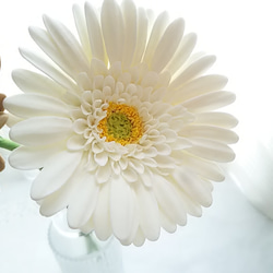 [僅限] ❁ 白色和棕色粘土花非洲菊 2 件套，室內花卉，斯堪的納維亞室內裝飾 ❁ 第6張的照片