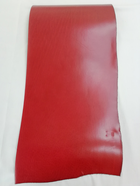 ルガトショルダー4分の１サイズ　赤 3枚目の画像