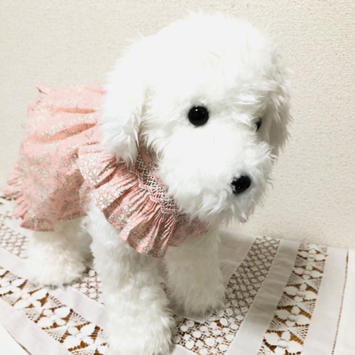 犬服 パリスタイル小型犬服 受注制作 ～スモッキング刺繍リバティ
