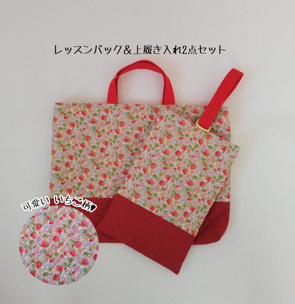 ◇30×40 30×20 可憐ないちごと小花ꕤ*˸*⋆。レッスンバック＆上履き