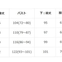  第5張的照片