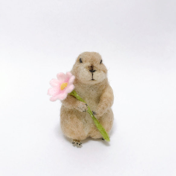リアル羊毛フェルト 【プレーリードッグ】実物大サイズ