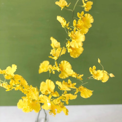 幸運の黄色い蘭 オンシジュームの花瓶付きアレンジ　ずっと楽しめるアーティフィシャルフラワー 新年 お祝の花飾りに 9枚目の画像