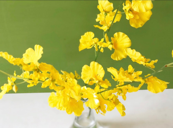 幸運の黄色い蘭 オンシジュームの花瓶付きアレンジ　ずっと楽しめるアーティフィシャルフラワー 新年 お祝の花飾りに 6枚目の画像