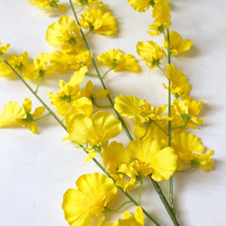 幸運の黄色い蘭 オンシジュームの花瓶付きアレンジ　ずっと楽しめるアーティフィシャルフラワー 新年 お祝の花飾りに 10枚目の画像