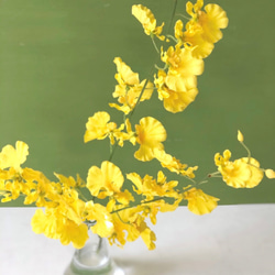 幸運の黄色い蘭 オンシジュームの花瓶付きアレンジ　ずっと楽しめるアーティフィシャルフラワー 新年 お祝の花飾りに 3枚目の画像