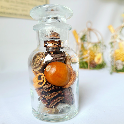 small 木の実たちのメディシンボトル 薬瓶 ボタニカル ハーバリウム 