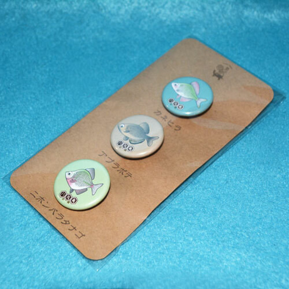 缶バッチ☆日本淡水魚☆タナゴ☆32ミリ3種セット その他雑貨 八兎亀