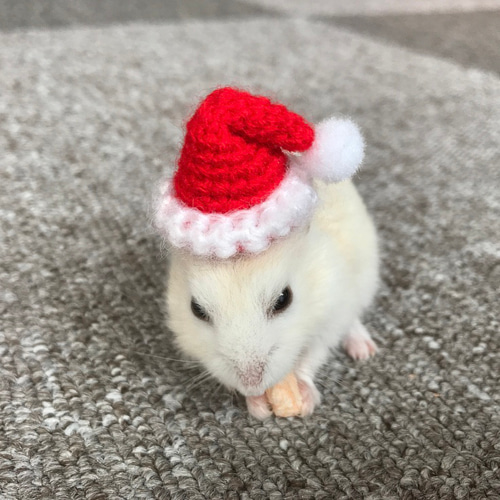 トールペイント作品　サンタ帽のクマの置物 たけのこ レッサーパンダ ぬいぐるみ クリスマス TAKENOKO