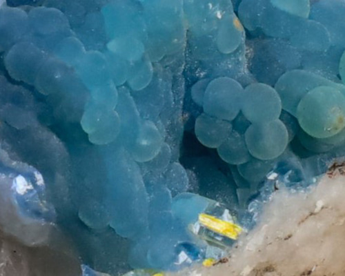 fd14ec2eba87450c29ce7d42260a66