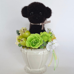 犬　トイプードル　プリザーブドフラワー プリザーブドフラワー犬 トイプードル cute 結婚祝い 誕生日