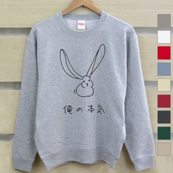 HYSTERICGLAMOUR裏毛うさぎトレーナー 8c165d6973f8db0f90454eba919110