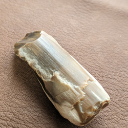 珪化木No.2322 自然石 鉱物 アクセサリー材料 6枚目の画像
