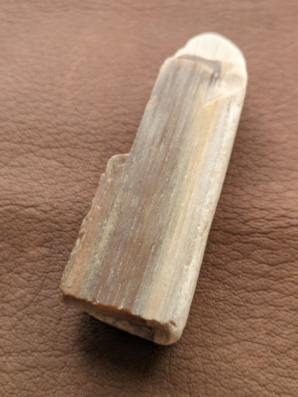 珪化木No.2325 自然石 鉱物 アクセサリー材料 2枚目の画像