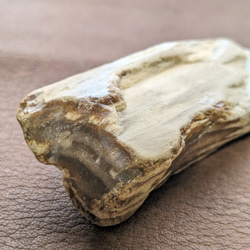 珪化木No.2328 自然石 鉱物 アクセサリー材料 3枚目の画像
