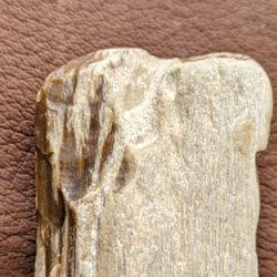 珪化木No.2328 自然石 鉱物 アクセサリー材料 5枚目の画像