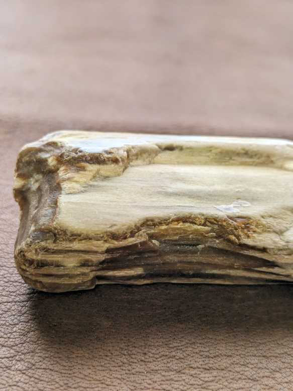 珪化木No.2328 自然石 鉱物 アクセサリー材料 4枚目の画像