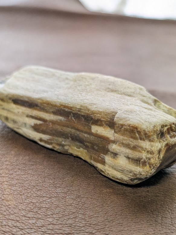 珪化木No.2328 自然石 鉱物 アクセサリー材料 1枚目の画像