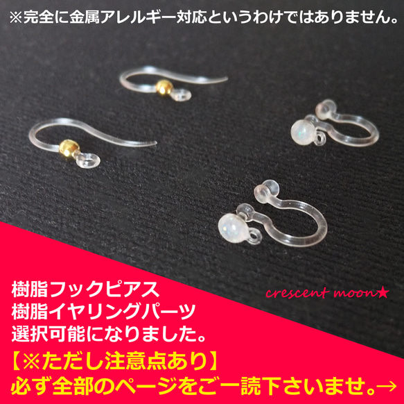 【お知らせとご注意点】樹脂製のフックピアスとイヤリングパーツが選択可能になりました。 1枚目の画像