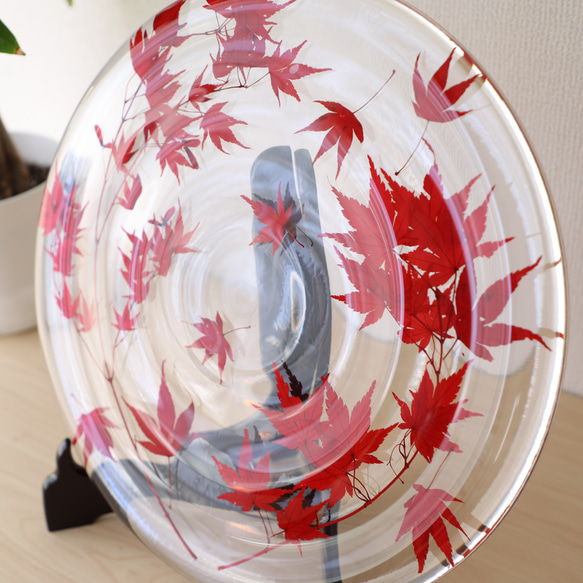 波紋の盾(紅葉封入Ver.) 大ぶり飾り皿 4枚目の画像