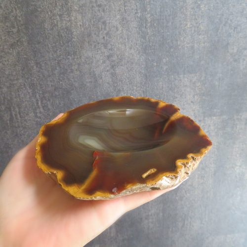 美しい鉱物標本】瑪瑙化した珪化木のトレイ／316g フリーボックス