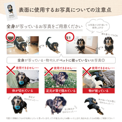 『優しいデザイン』ペット名刺・うちの子名刺・犬の名刺・オフ会 8枚目の画像