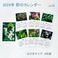 2024年 野のカレンダー　はがきサイズ 1枚目の画像