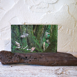 流木フォトスタンド　写真額　写真立て　木の額　　流木アート　木のインテリア　ナチュラルアート　１７ 1枚目の画像