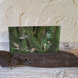 流木フォトスタンド　写真額　写真立て　木の額　　流木アート　木のインテリア　ナチュラルアート　１７ 2枚目の画像
