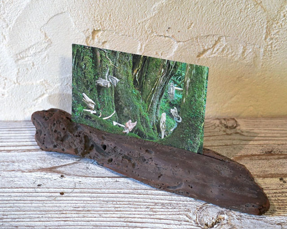 流木フォトスタンド　写真額　写真立て　木の額　　流木アート　木のインテリア　ナチュラルアート　１７ 3枚目の画像