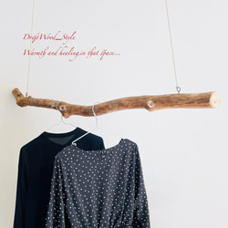 流木インテリア 真っすぐで無骨な大型流木のハンガーラック 北欧 衣装掛け ハンギング 吊り下げ ハンガーポール N2 5枚目の画像