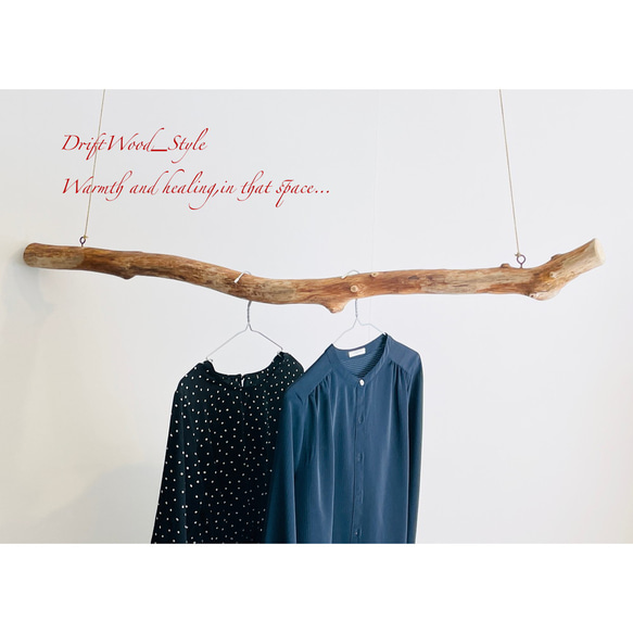 流木インテリア 真っすぐで無骨な大型流木のハンガーラック 北欧 衣装掛け ハンギング 吊り下げ ハンガーポール N2 2枚目の画像