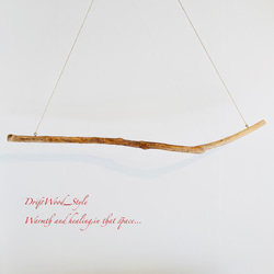 流木インテリア うねりを描く無骨な大型流木のハンガーラック 北欧 衣装掛け ハンギング 吊り下げ ハンガーポール N3 7枚目の画像