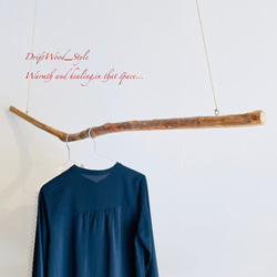 流木インテリア うねりを描く無骨な大型流木のハンガーラック 北欧 衣装掛け ハンギング 吊り下げ ハンガーポール N3 5枚目の画像