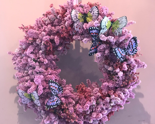 スターチスリース2023年 ドライフラワー COMMON REED 通販 16666318