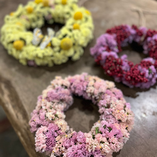 スターチスリース2023年 ドライフラワー COMMON REED 通販 16666318