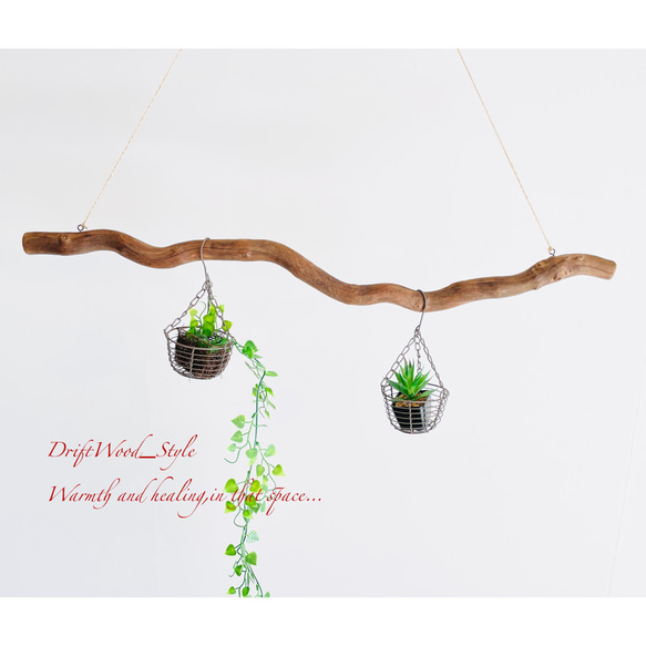 流木インテリア 枝のうねりが美しい天然流木のハンガーラック 北欧 衣装掛け ハンギング 吊り下げ エアプラント N3 4枚目の画像