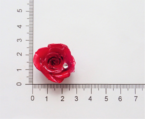 Rosemellia　玫瑰永生花✕施華洛世奇　樹脂加工指環　❊空郵台灣5-7天 第6張的照片