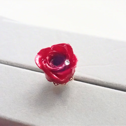 Rosemellia　玫瑰永生花✕施華洛世奇　樹脂加工指環　❊空郵台灣5-7天 第3張的照片