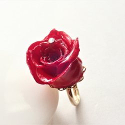 Rosemellia　玫瑰永生花✕施華洛世奇　樹脂加工指環　❊空郵台灣5-7天 第1張的照片