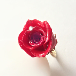 Rosemellia　玫瑰永生花✕施華洛世奇　樹脂加工指環　❊空郵台灣5-7天 第2張的照片