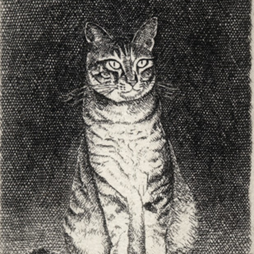 猫・2014/銅版画(額カラー・黒/あり） 版画 Atelie Gray 通販｜Creema